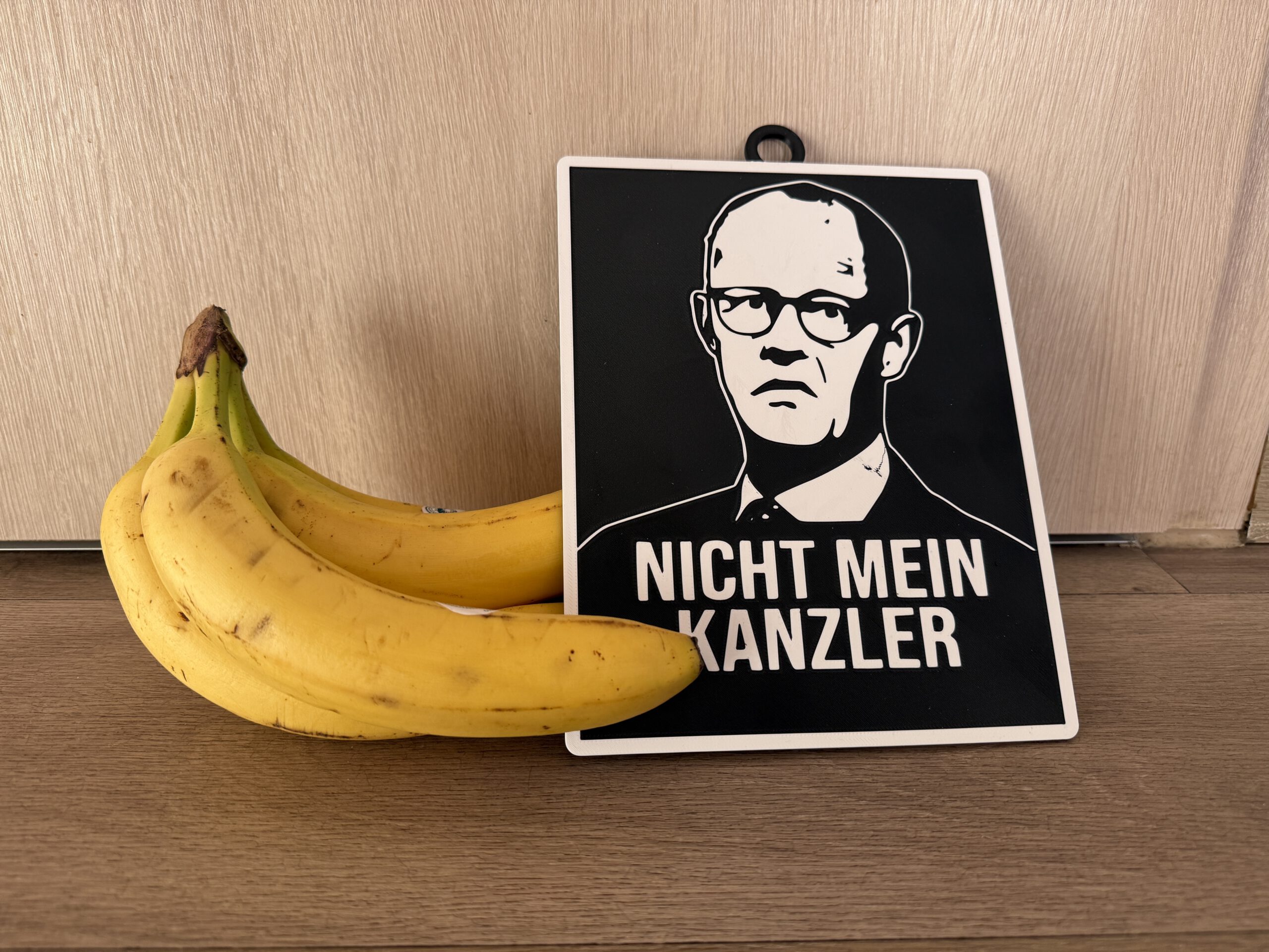 Politisches Statement-Schild „Nicht mein Kanzler“ – 23x18cm ABS-Druck für Patrioten & Meinungsstarke – Bild 4